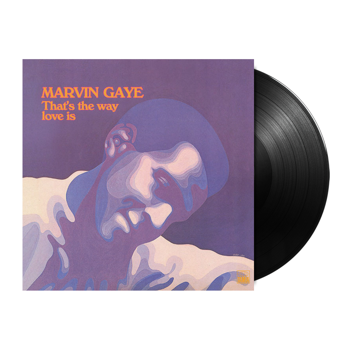 Marvin Gaye - Thats The Way Love Is LP