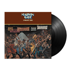 Marvin Gaye I Want You Japanese Promo vinyl LP album (LP record) (352700)